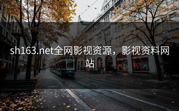 sh163.net全网影视资源，影视资料网站