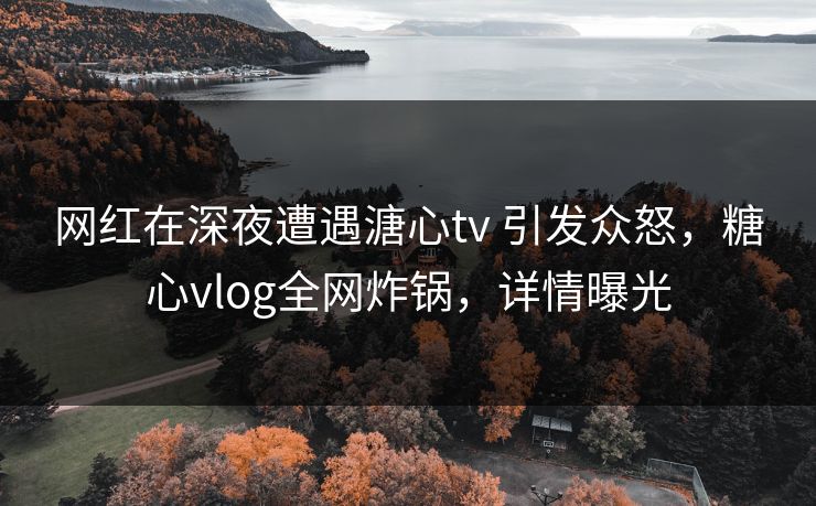 网红在深夜遭遇溏心tv 引发众怒，糖心vlog全网炸锅，详情曝光